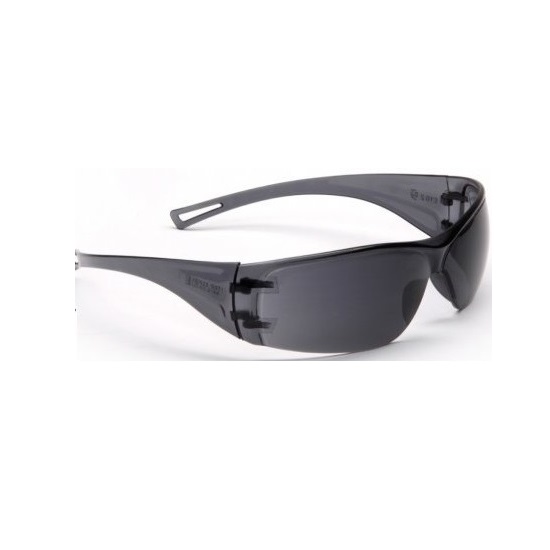 Esko Economy Antifog Specs - Smoke