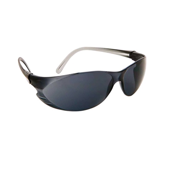 pr-BARKLY SMOKE FRAME & LENS SPECS