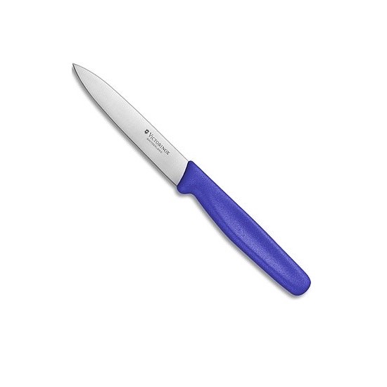 PARING KNIFE - NYLON HANDLE - Blue